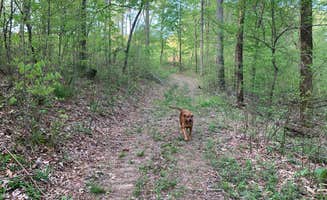 JonRoy S.'s photo of camping with pets at Resurrection Ridge Retreat near Clarksville, TN