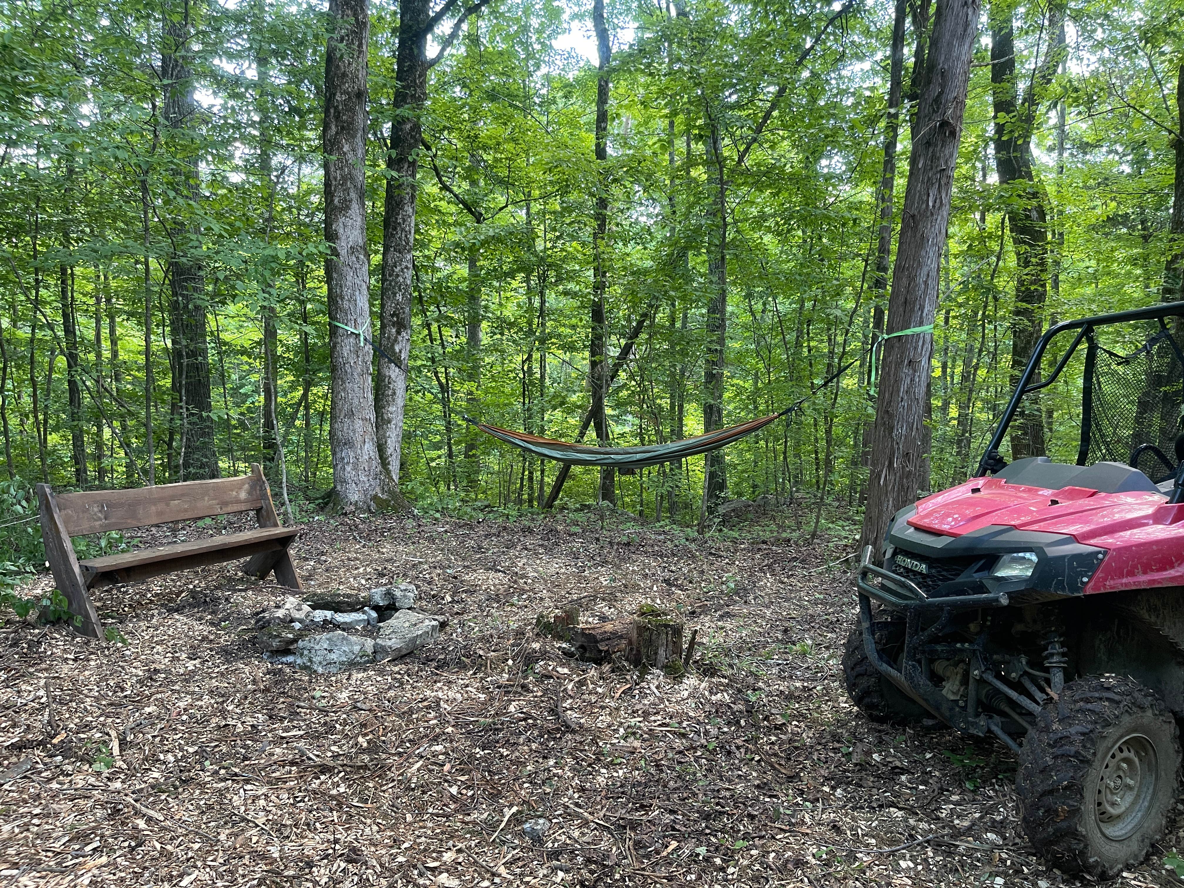 Camper submitted image from Raulston Woods - 1