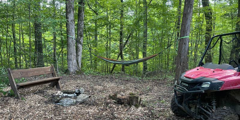 Camper submitted image from Raulston Woods