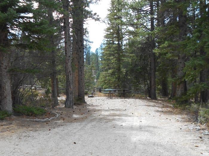 Camper submitted image from Pine Lake Campground - 1