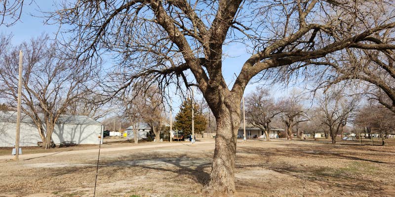 Camper submitted image from Forest Oaks RV Park