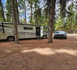 Camper-submitted photo from Tanana Valley Campground