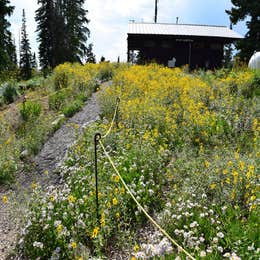 Point Supreme Campground — Cedar Breaks National Monument