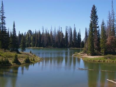 Camper submitted image from Manti-LaSal National Forest Potters Pond Campground - 5