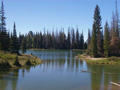 Camper submitted image from Manti-LaSal National Forest Potters Pond Campground - 3