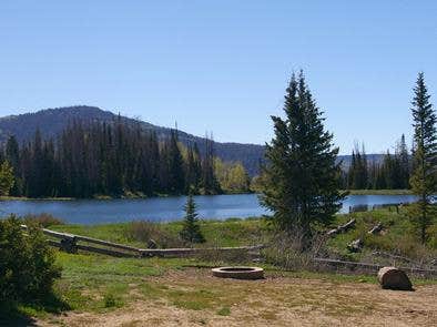 Camper submitted image from Manti-LaSal National Forest Potters Pond Campground - 2