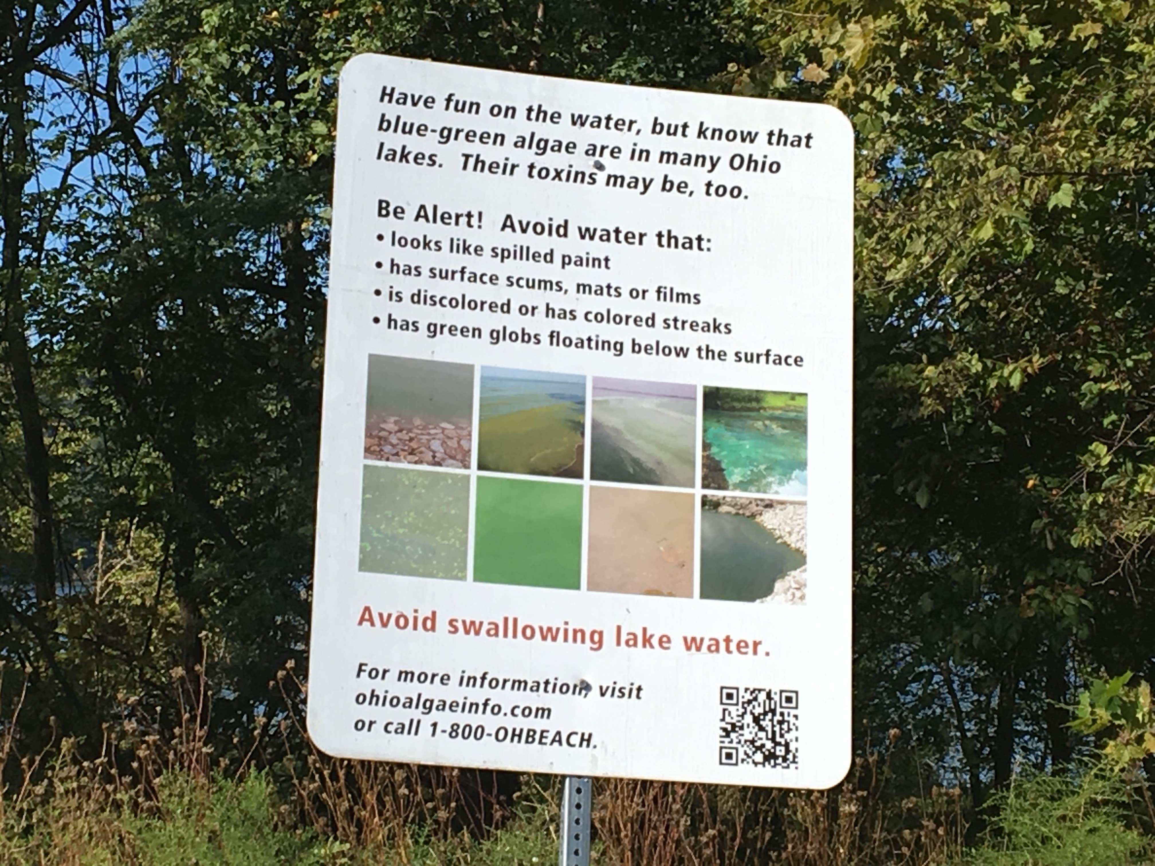 Camper-submitted photo at East Fork State Park Campground in Ohio