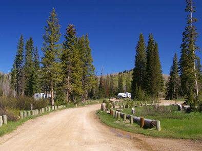 Camper submitted image from Manti-LaSal National Forest Potters Pond Campground - 4