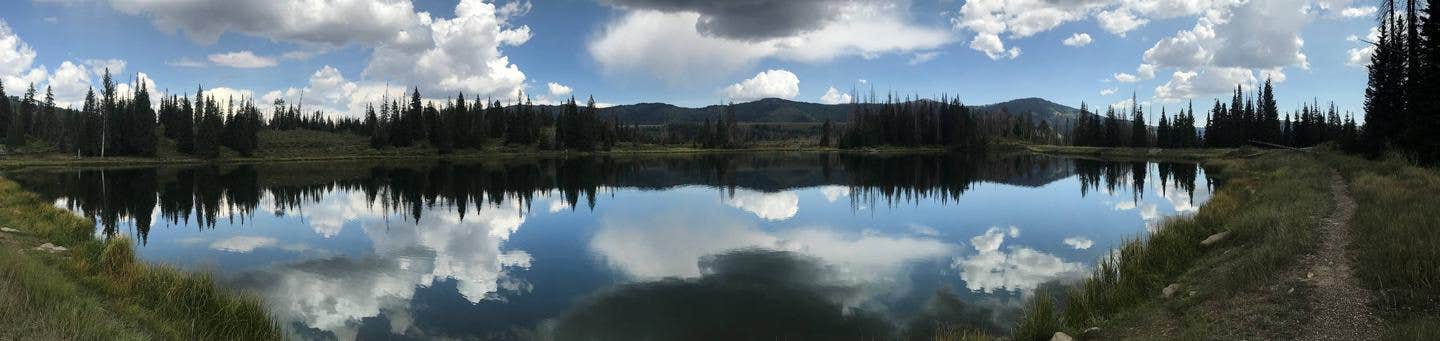 Camper submitted image from Manti-LaSal National Forest Potters Pond Campground - 1