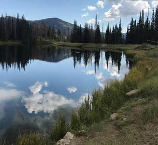 Camper-submitted photo from Manti-LaSal National Forest Potters Pond Campground