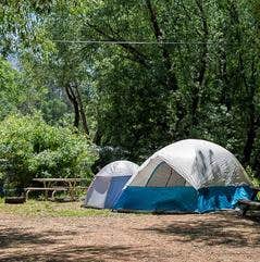 The Dyrt's photo of tent camping at Lone Duck Campground and Cabins near Larkspur, CO