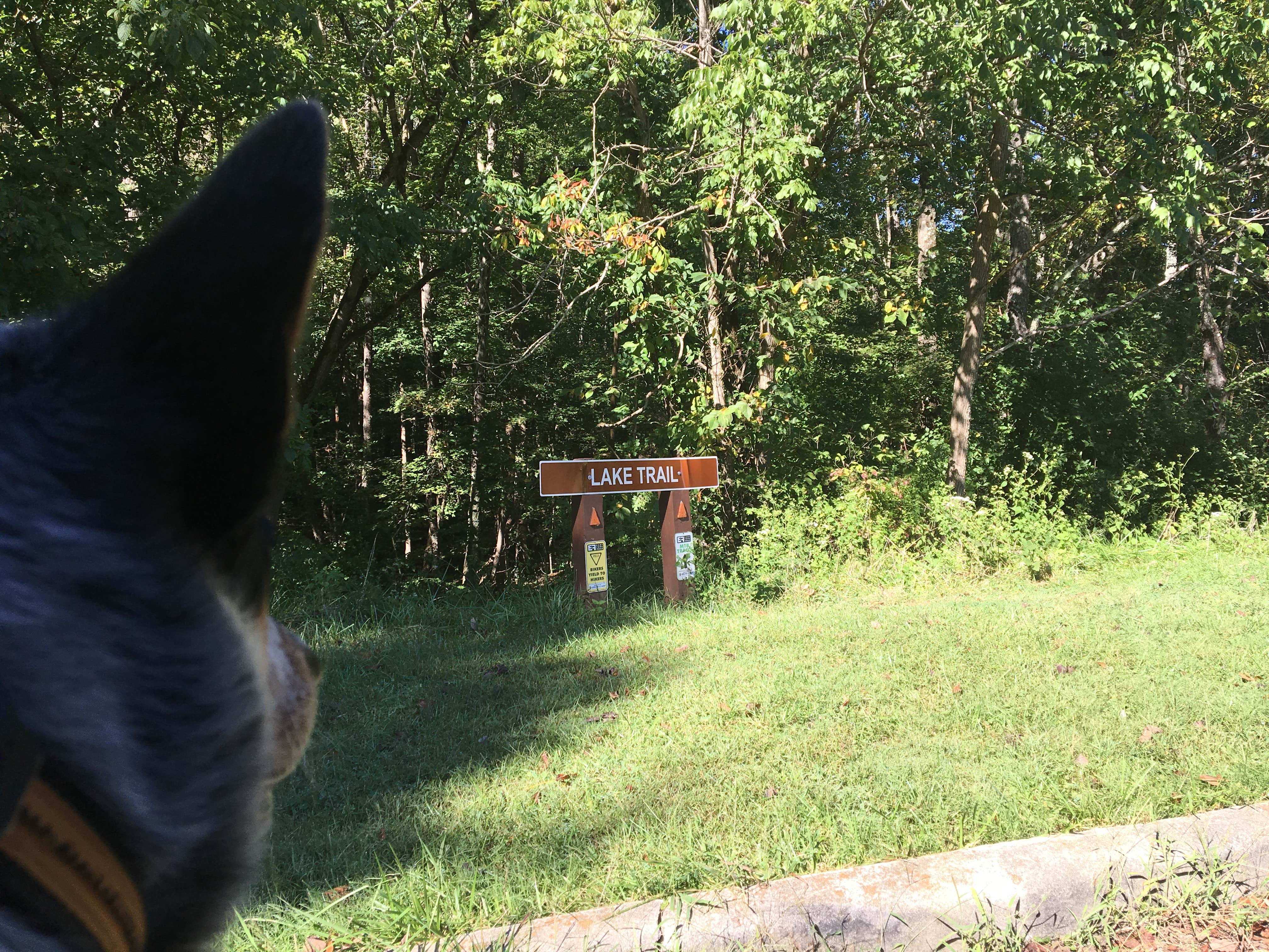 Shelly S.'s photo of camping with pets at East Fork State Park Campground near West Fork of Mill Creek Lake