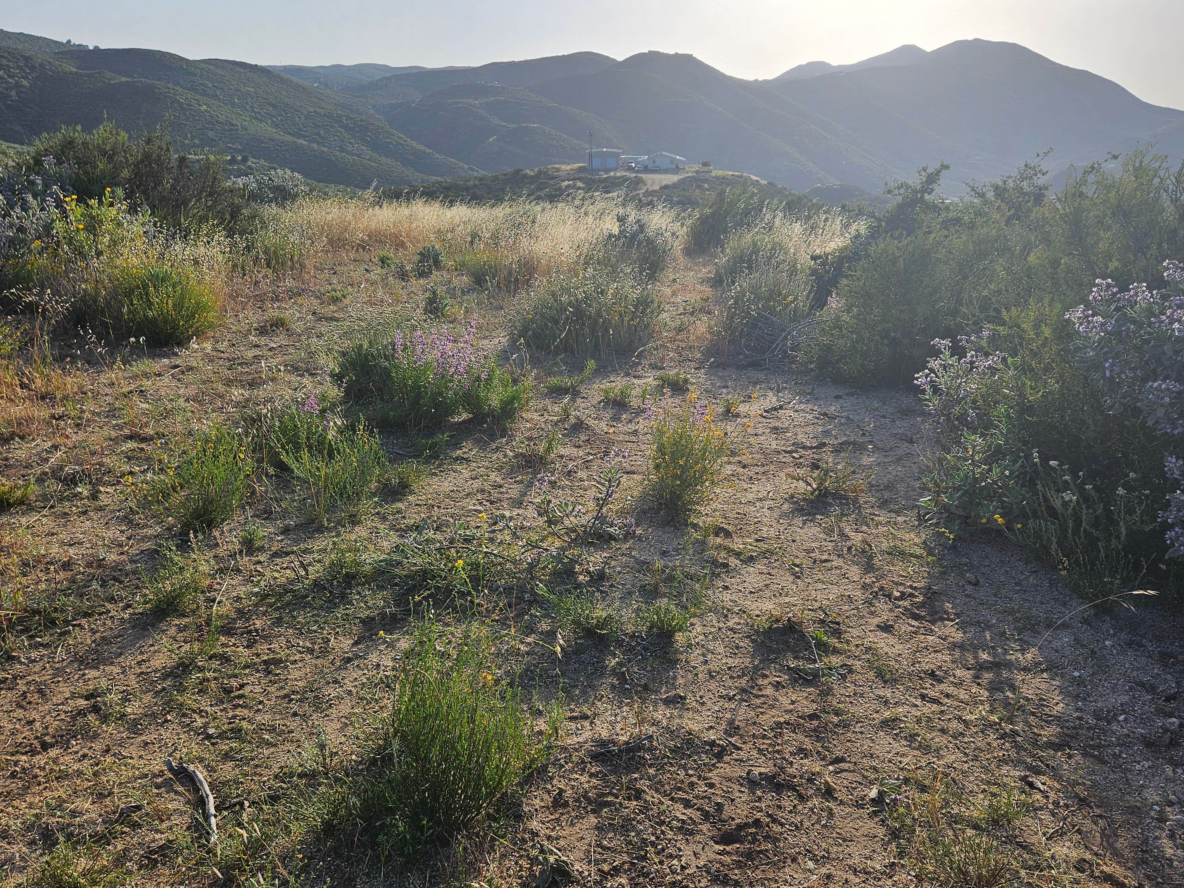 Camper-submitted photo at Wandering Caboose Ranch near Hemet, CA