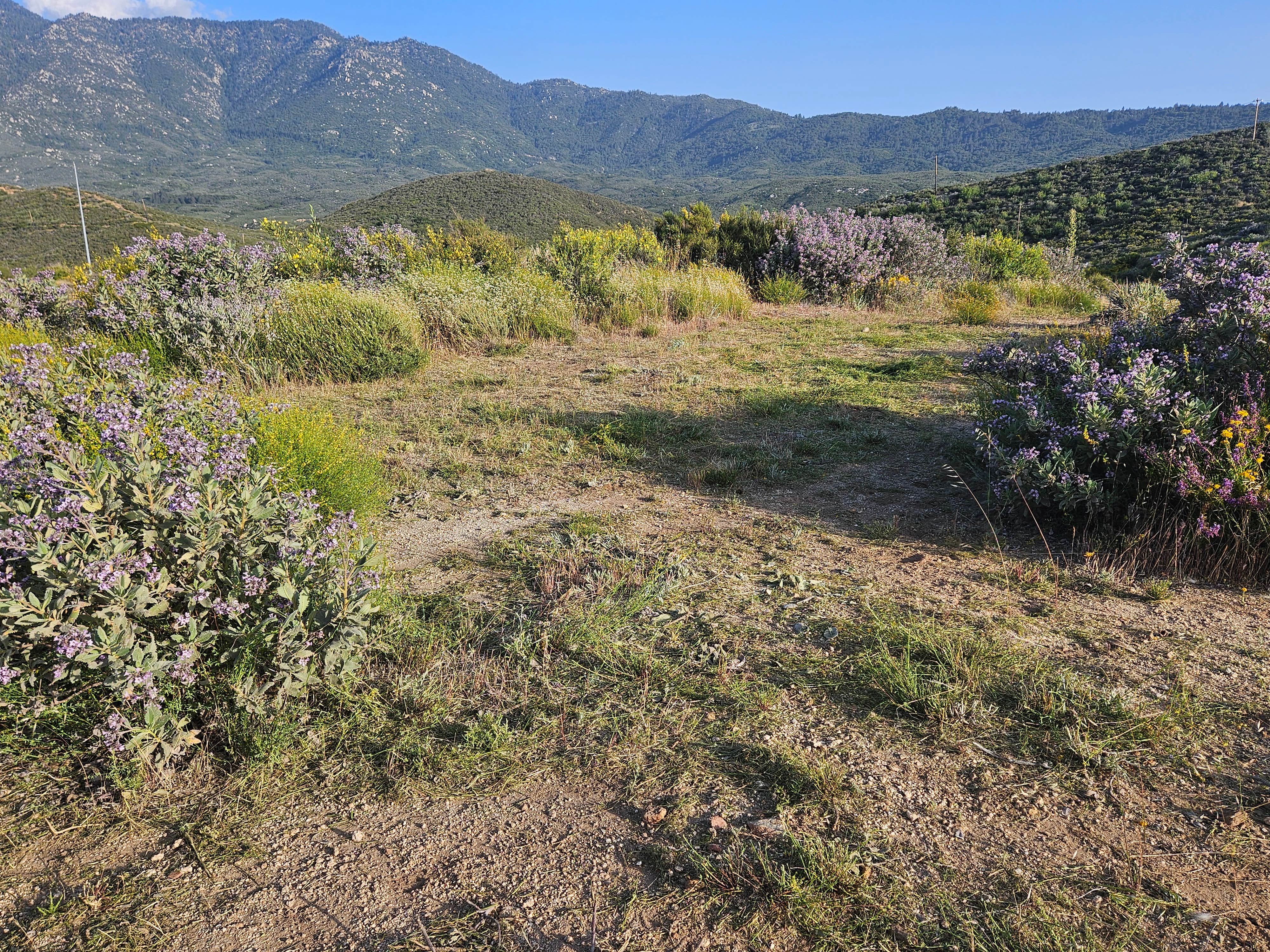 Camper-submitted photo at Wandering Caboose Ranch near Hemet, CA