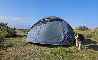 Matthew's photo of camping with pets at Wandering Caboose Ranch near Moreno Valley, CA