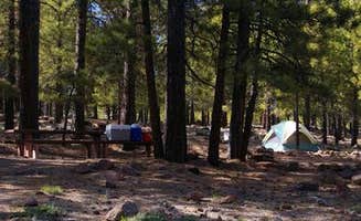 The Dyrt's photo at Singletree near Capitol Reef National Park