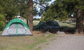 Camping near Horse Canyon: Singletree, Torrey, Utah