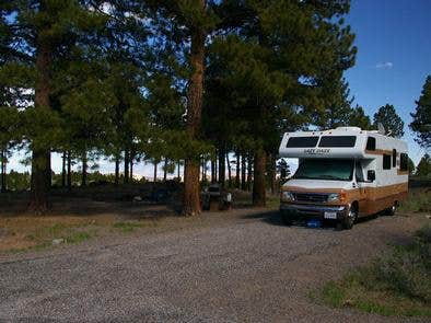 Camper submitted image from Singletree - 3