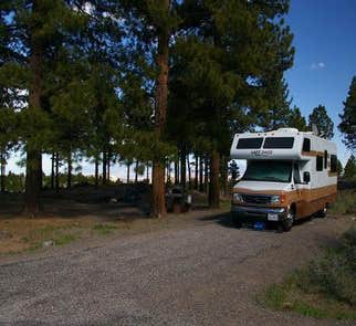 Camper-submitted photo from Singletree