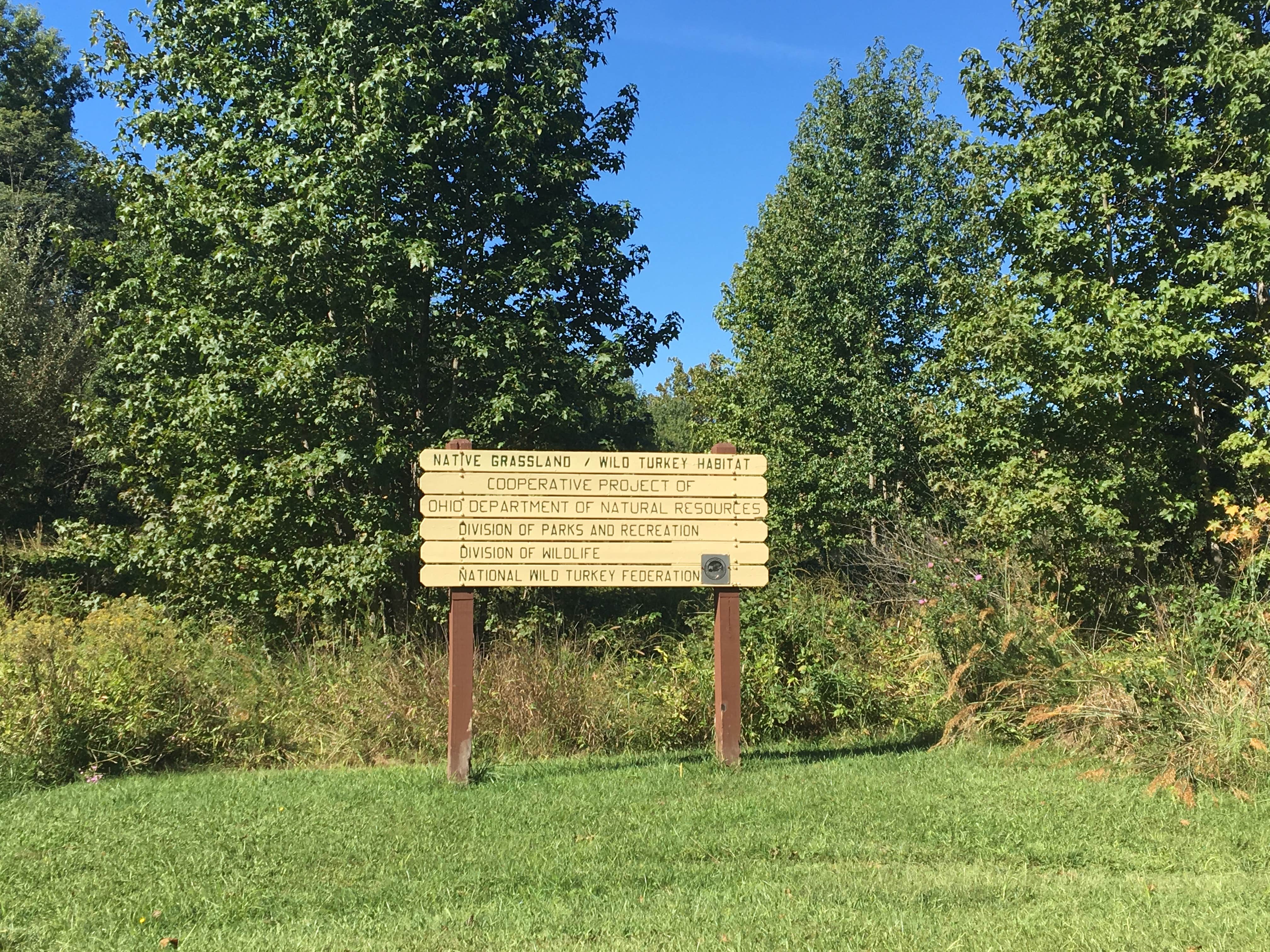 East Fork State Park Campground