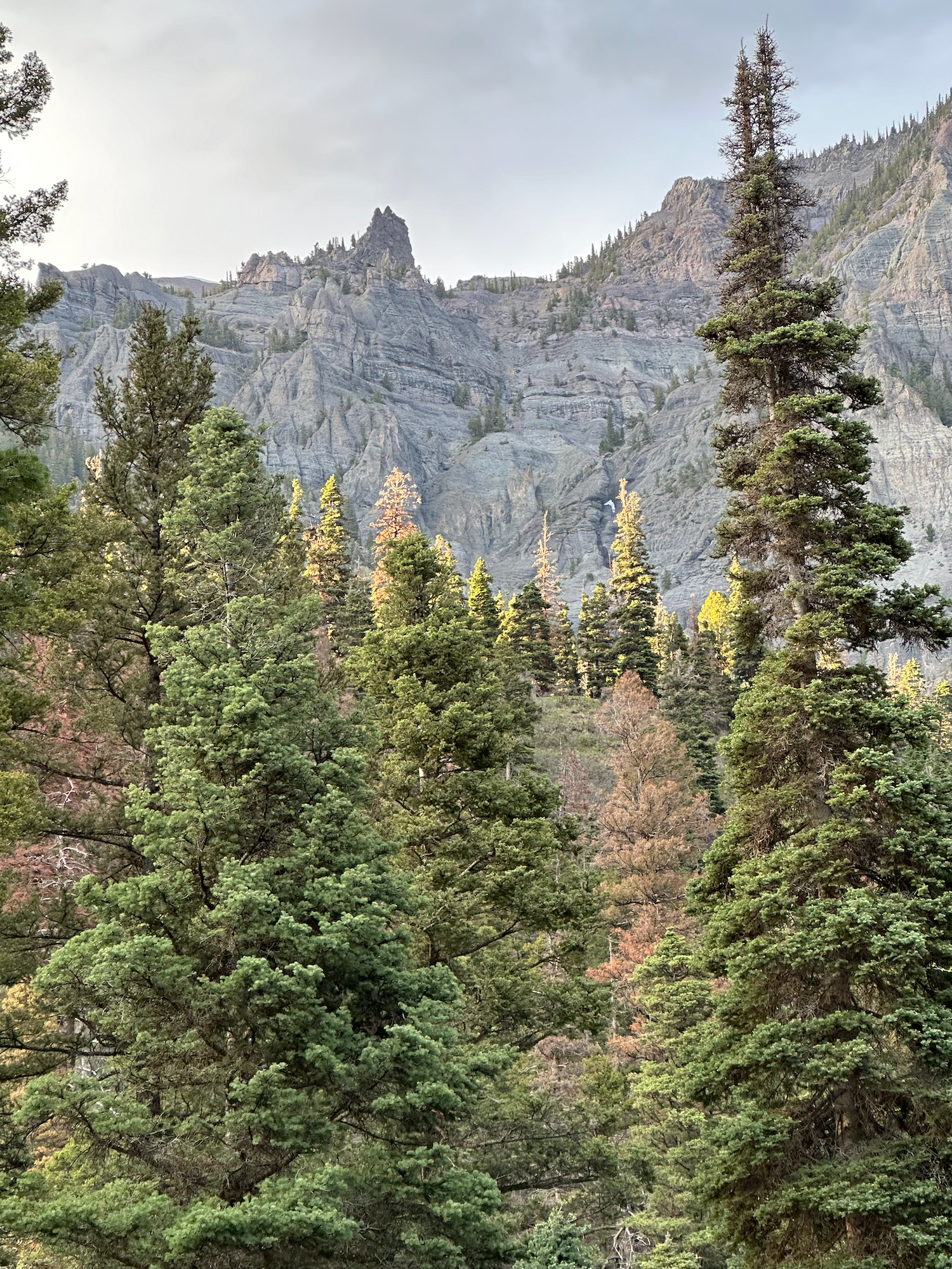 Camper-submitted photo at Portland Road Dispersed near Ouray, CO