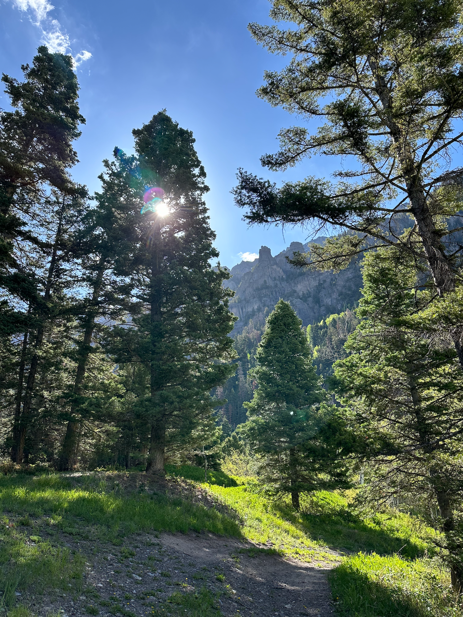 Camper-submitted photo at Portland Road Dispersed near Ouray, CO