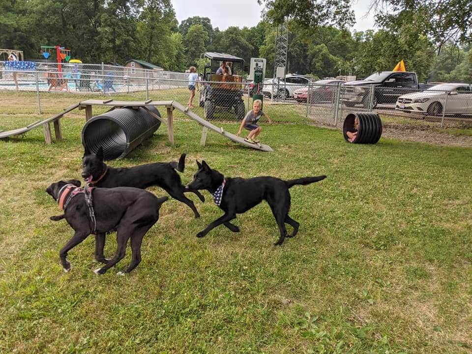 Kevin H.'s photo of camping with pets at Hickory Grove Lake RV Park & Campground near Findlay, OH