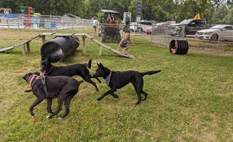 Kevin H.'s photo of camping with pets at Hickory Grove Lake RV Park & Campground near Galena, OH