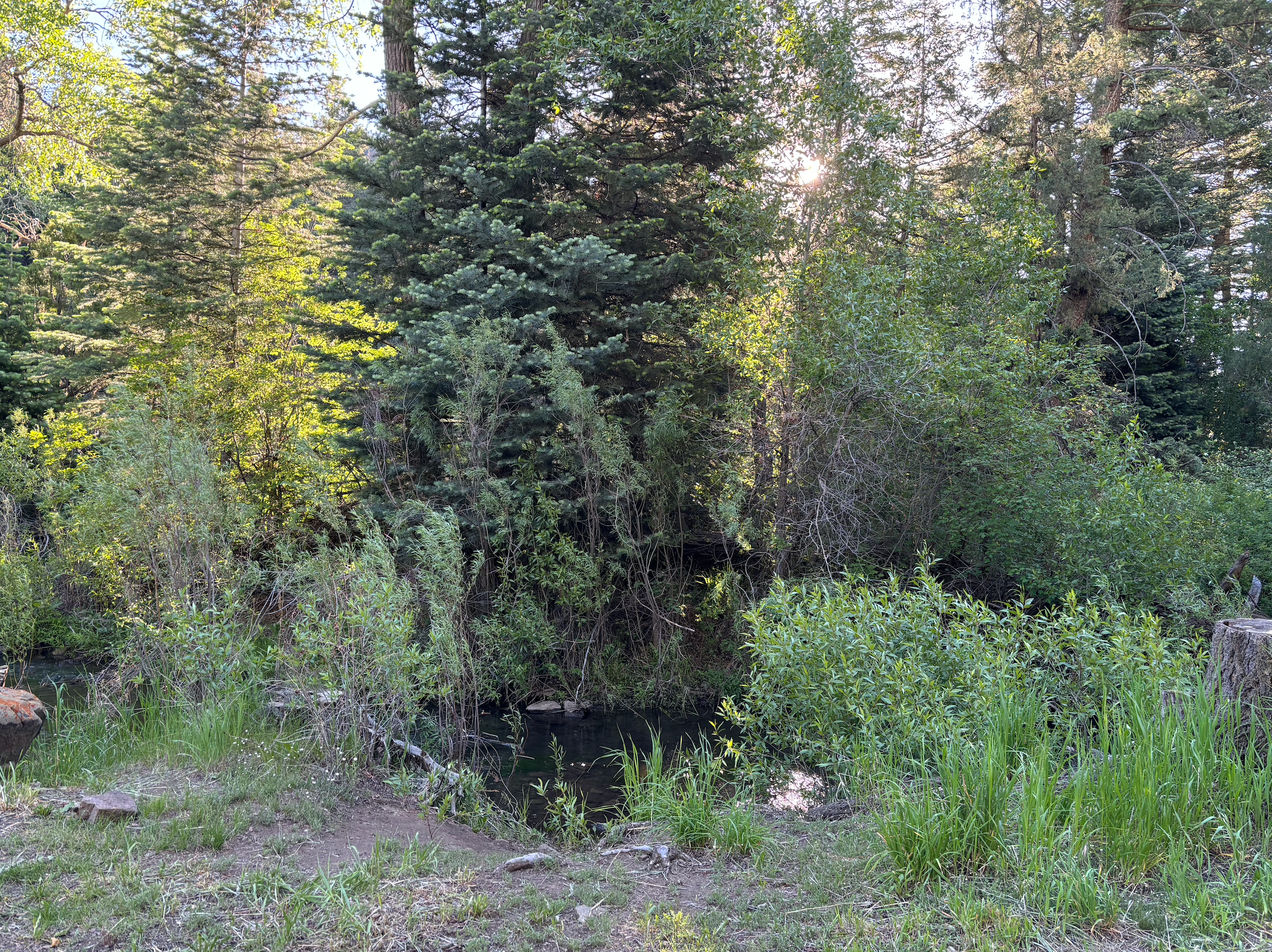 Camping near LUXX Lodge - Glamping & Taos RV Park: Capulin Campground, Taos, New Mexico