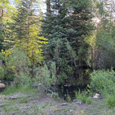 Review photo of Capulin Campground by Molly S., June 6, 2024