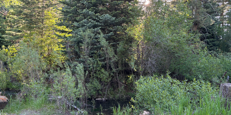 Camper submitted image from Capulin Campground