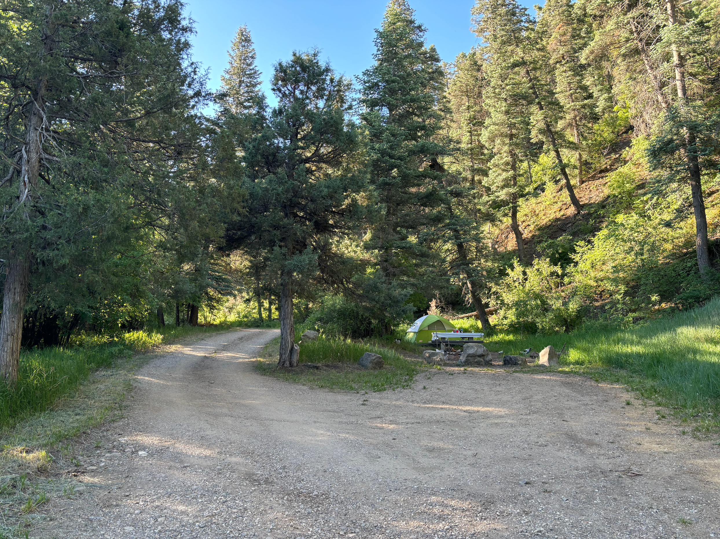 Molly S.'s photo of tent camping at Capulin Campground near Red River, NM