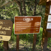 Review photo of Capulin Campground by Molly S., June 6, 2024