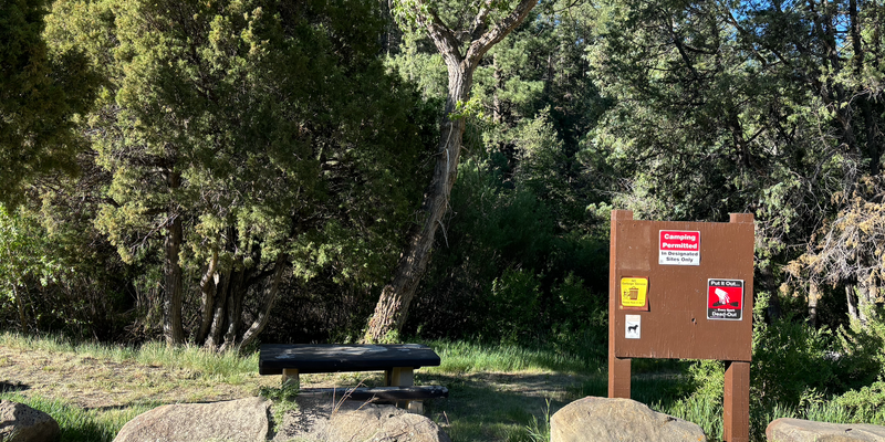 Camper submitted image from Las Petacas Campground