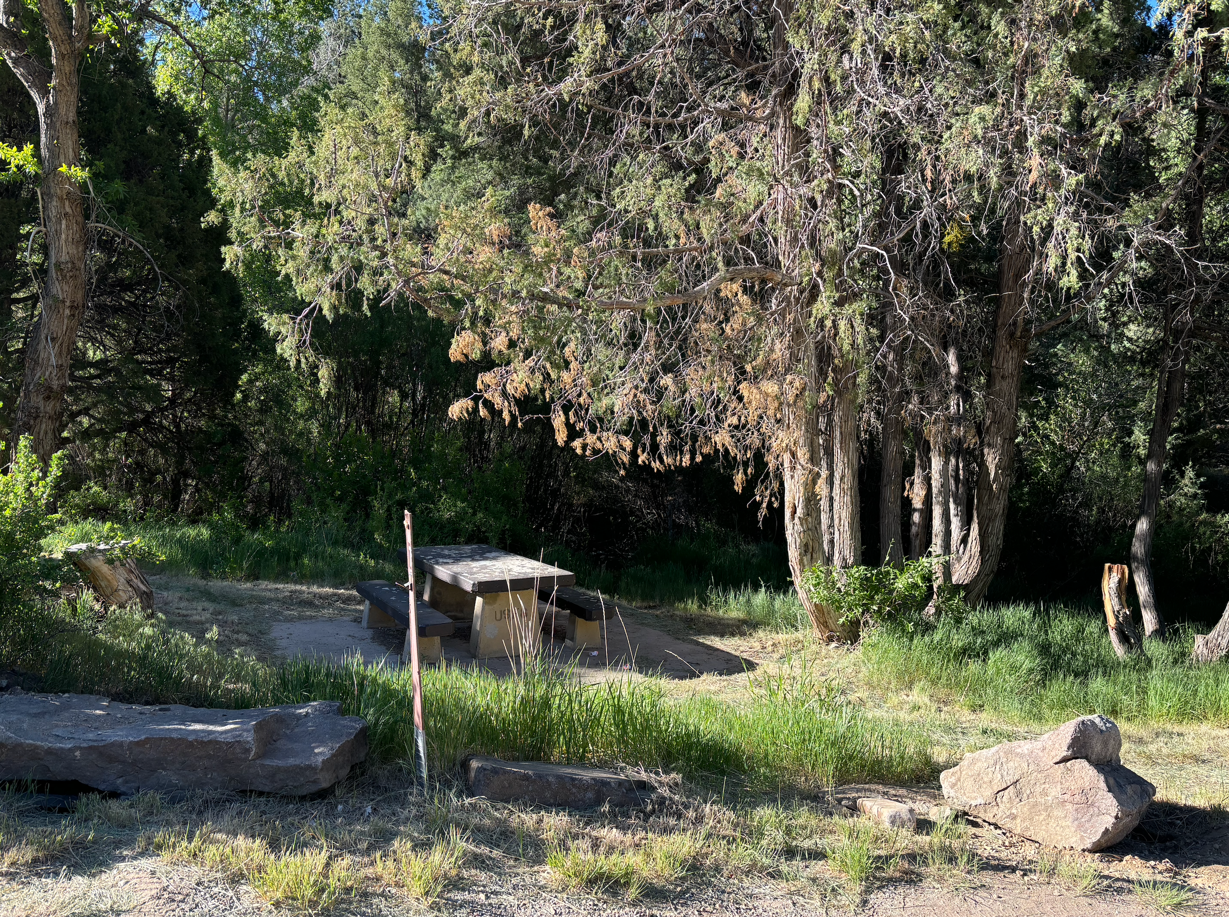 Camper submitted image from Las Petacas Campground - 4