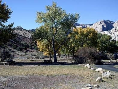 Camper submitted image from Split Mountain Group Campground — Dinosaur National Monument - 2