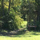 Review photo of East Fork State Park Campground by Shelly S., September 14, 2016
