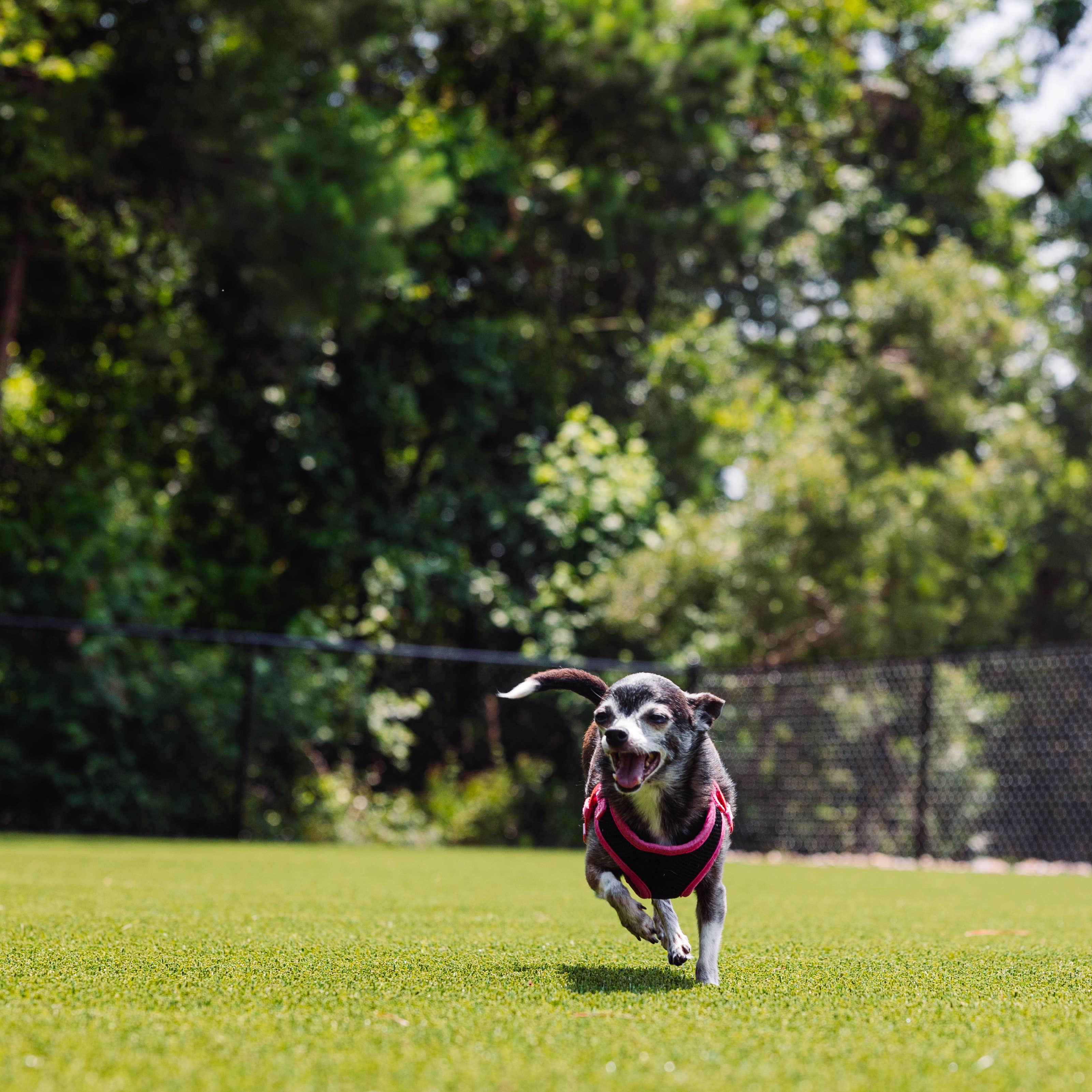 Camper-submitted photo at Oceans RV Resort near Hampstead, NC