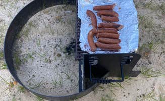 Keith W.'s photo of camping with pets at Small Living RV Park near Lumber City, GA