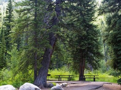 Camper submitted image from Spruces - Big Cottonwood - 3