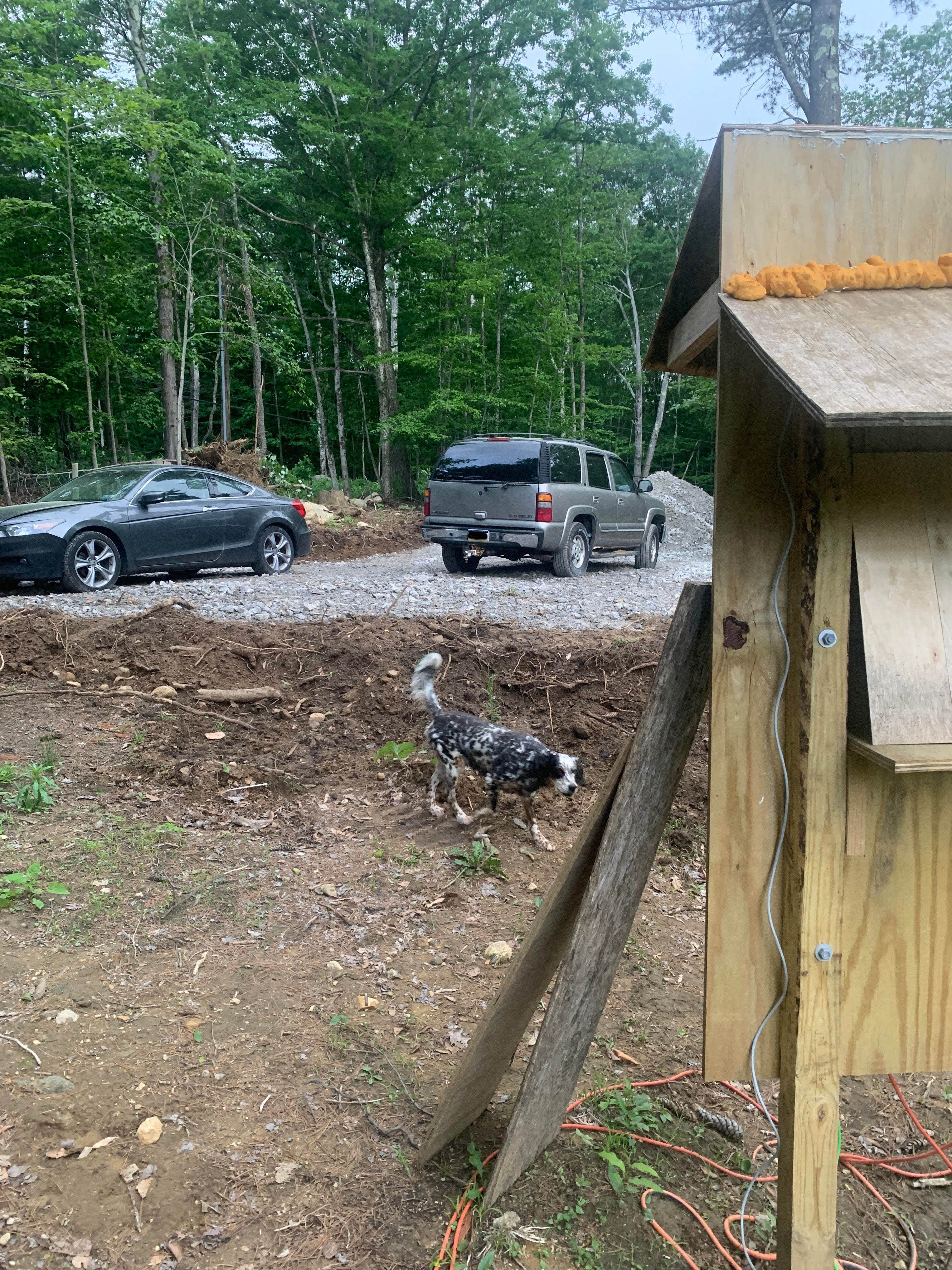 Robert S.'s photo of camping with pets at Freedom Ranch near Waterbury, CT