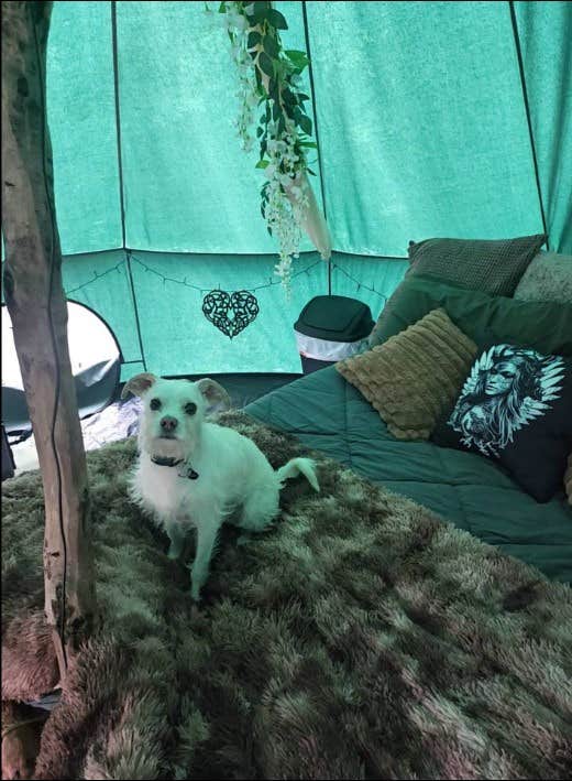 Matthew N.'s photo of camping with pets at Mydnyt Mountain near Pike and San Isabel National Forests and Cimarron and Comanche National Grasslands