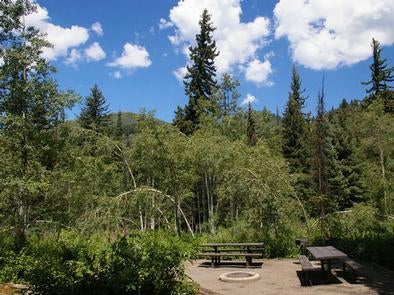 Camper submitted image from Spruces - Big Cottonwood - 1
