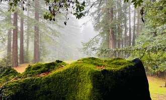 Camping near Sanborn County Park: Enchanted Forest Mountain Redwood Retreat, Scotts Valley, California