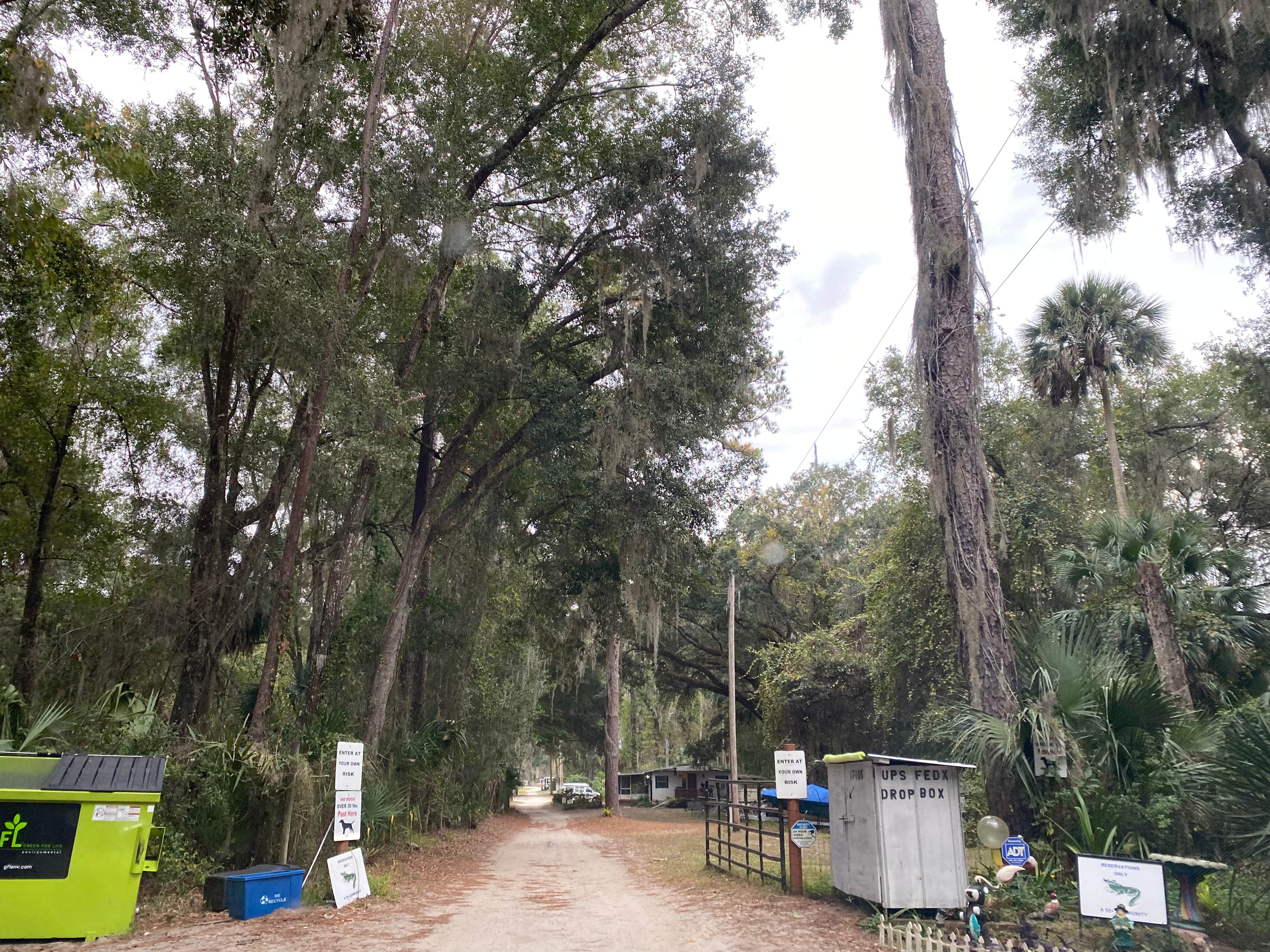 Camper submitted image from Twin Lakes Fish Camp - 3