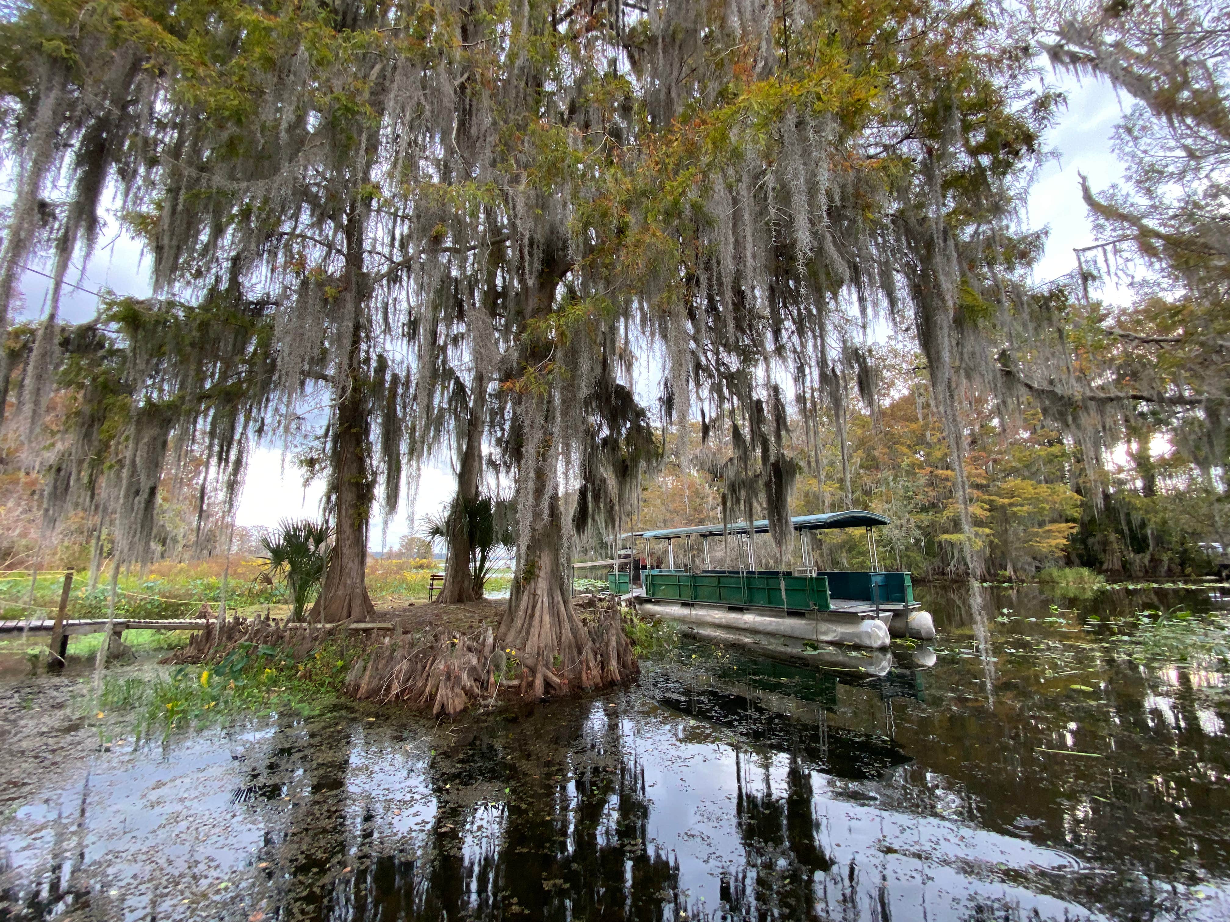 Camper-submitted photo at Twin Lakes Fish Camp near Rocky Point, FL