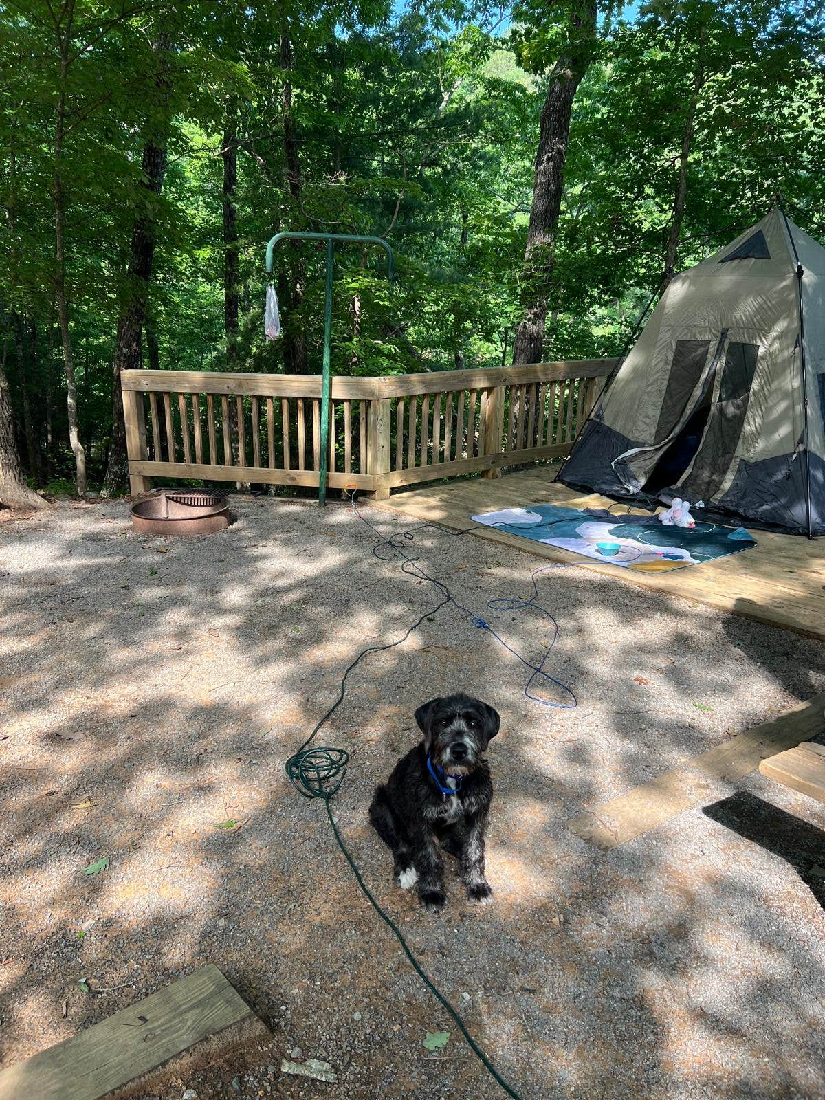 Niharika S.'s photo at Doll Mountain Campground near Talking Rock, GA