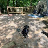 Review photo of Doll Mountain Campground by Niharika S., June 9, 2024