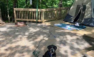 Niharika S.'s photo of camping with pets at Doll Mountain Campground near Resaca, GA