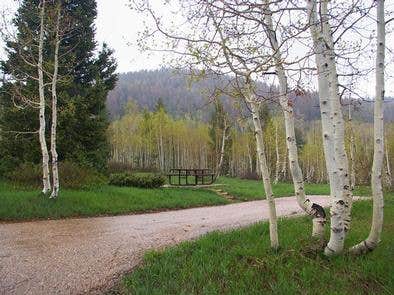 Camper submitted image from Dixie National Forest Te-ah Campground - 1